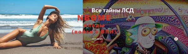 гидра Нея