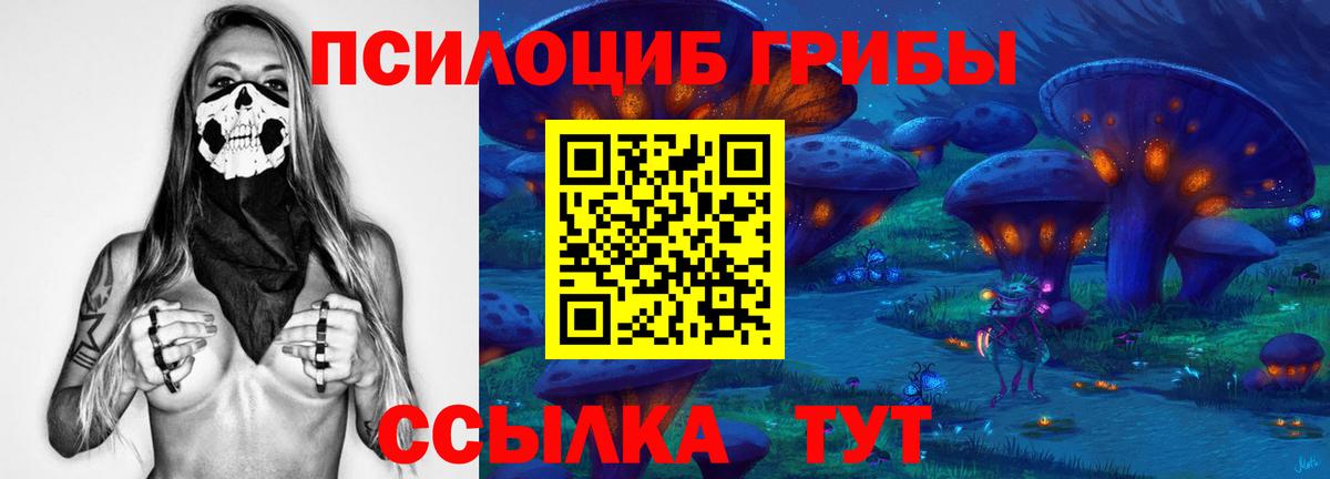 Прохладный  Галлюциногенные грибы мицелий  где купить наркоту  Вход с VPN 