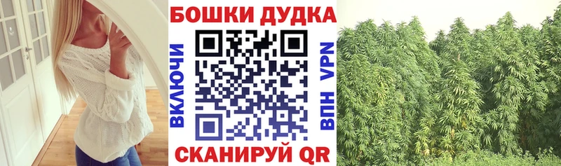 Шишки марихуана Ganja  Прохладный 